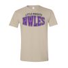 Softstyle® T-Shirt Thumbnail