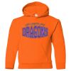 Heavy Blend™ Youth Hooded Sweatshirt Thumbnail