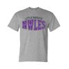 DryBlend® T-Shirt Thumbnail